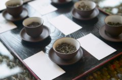 省领导批示为动力，推动我省茶业更好更快发展